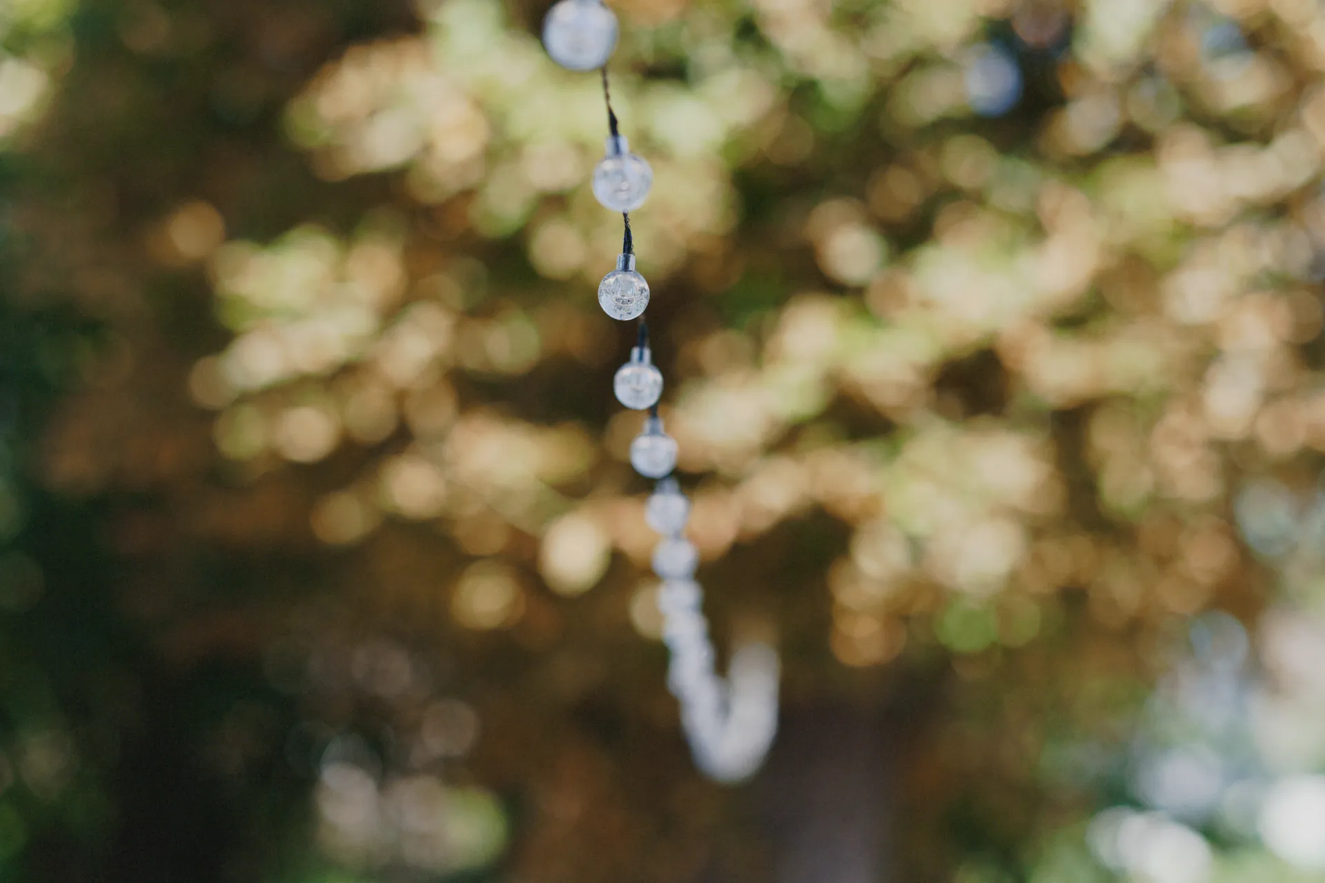 Une guirlande avec un flou d'arrière plan prononcé photographiée par Jeremy Dan lors d'une cérémonie de mariage.